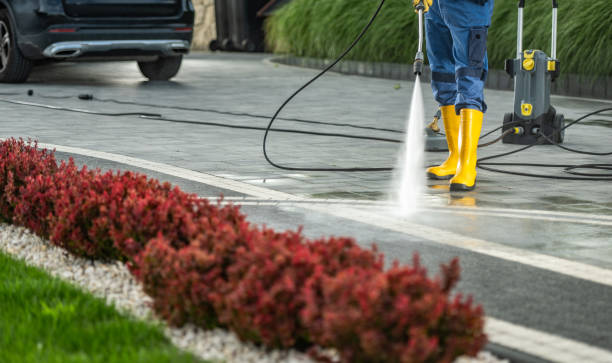 Best House Exterior Washing  in Lacey, WA